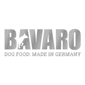 Bavaro Food in Kenya
