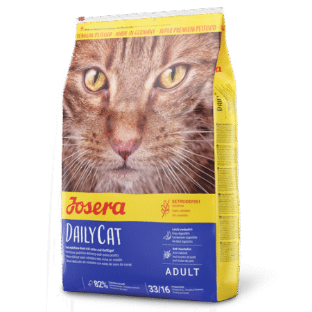 DailyCat