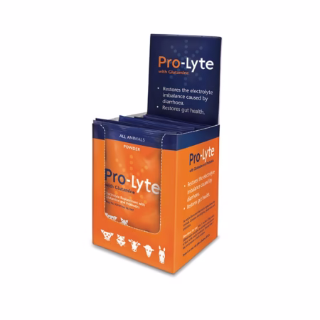 Pro-Lyte With Glutamine